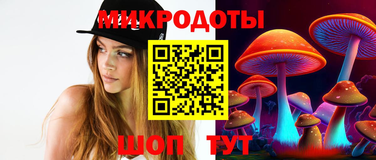 Королёв  Галлюциногенные грибы Psilocybine cubensis  закладка  Вход с VPN 